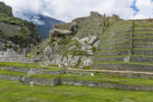 tkf005_302657