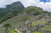 tkf005_302658