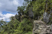 tkf005_302664