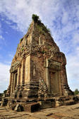 tkf005_302762