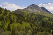 tkf005_302861
