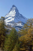 tkf005_302864
