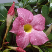 tkf005_302867