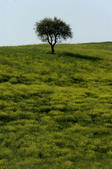 tkf005_302885