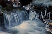 tkf005_303033