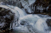 tkf005_303034