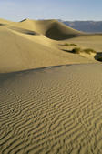 tkm005_104996
