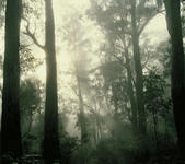 tkm005_105313