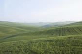 tkm005_105446