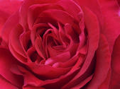 tkm005_106079