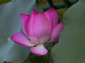 tkm005_106082