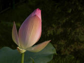 tkm005_106085
