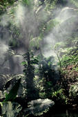 tkm005_106174