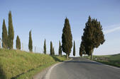 tkm005_106257
