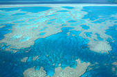 tkm005_106620